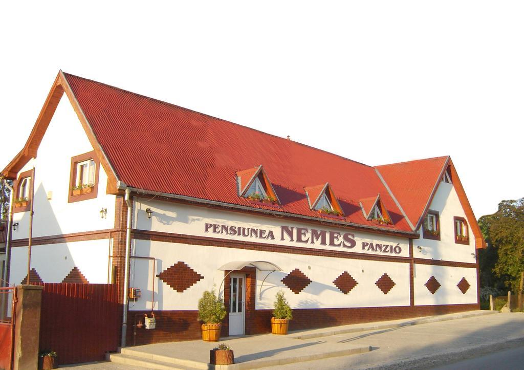 Pensiunea Nemes Panzio Acatari Ngoại thất bức ảnh